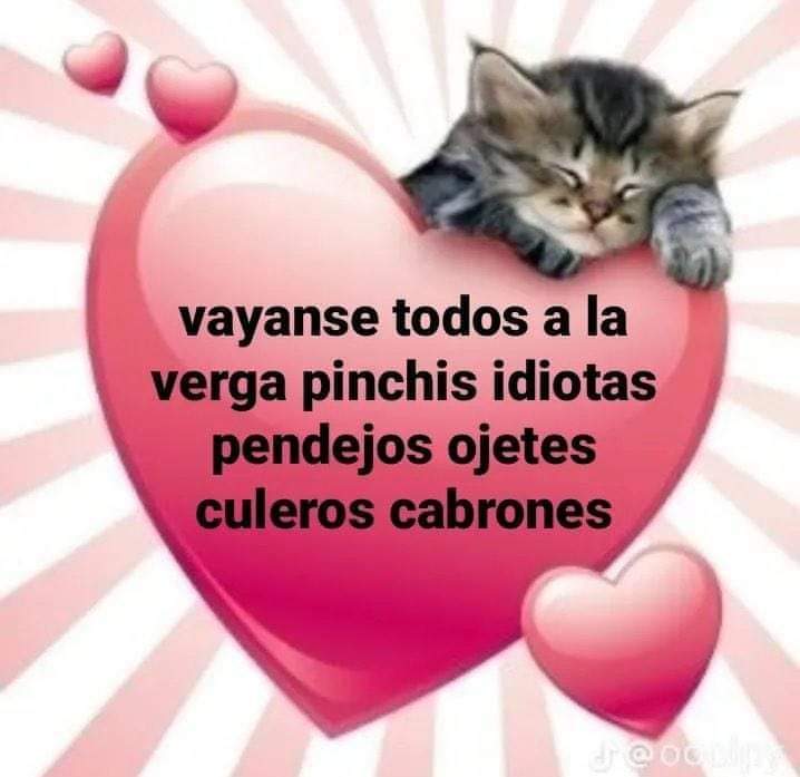 AndDonka's tweet photo. Nuevo dibujo
#NecoArc #NecoArcMemes #Emo2000 #Tsukihime #Gatitos #GatosMemes https://t.co/HL172jyVnu
