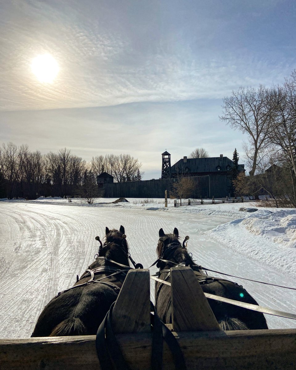 FortEdPark's tweet photo. Looking for a cozy date night? Try out a Winter Wagon Ride at #FortEdmontonPark! Cozy up under a blanket with hot chocolate while riding through Fort Edmonton Park, and take a little break by warming up around the bonfire. Be sure to book your spot today! 

🐴 //bit.ly/3Qv5UZb https://t.co/isE8CE7HvT