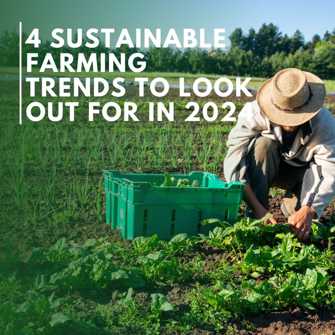As we look ahead to the future of farming, the following emerging trends will play a significant role.  👇

🌱 Technology Integration
🌱 Driven Decision Making
🌱 Regenerative Agriculture
🌱 Consumer Awareness & Preferences on Agriculture

#farmingtrends #sustainabilitytrends