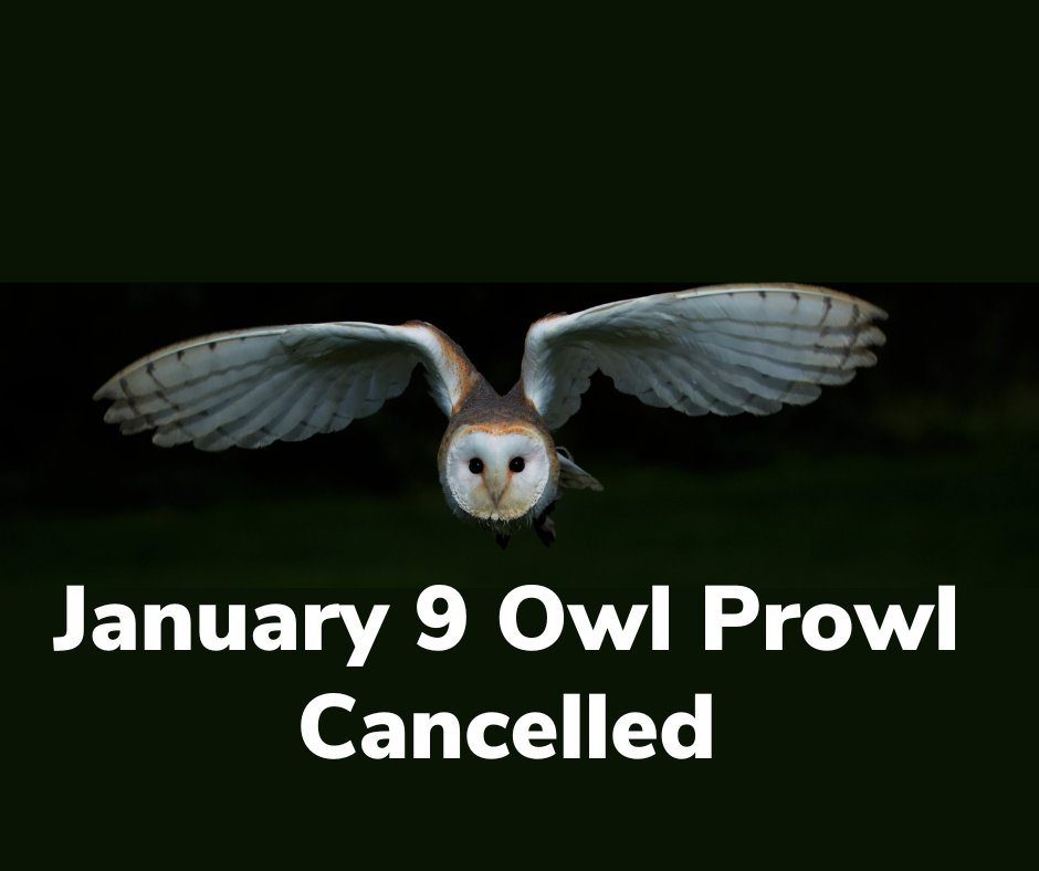 OSUE_OWS's tweet photo. *Important Update: We apologize but tonight's, 1/9, Owl Prowl program has been cancelled due to safety concerns with a wind advisory in place for Pickerington. Thanks to 'owl' who registered!  If you registered for the program, please check your email regarding details. https://t.co/SDozrHX7JC