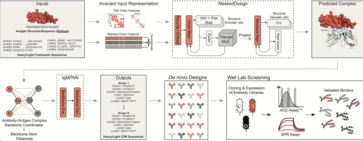 We’re back again, this time with details on our models for de novo design and new, open sourced data on functionality and developability, going beyond binding. We show one design has 3x higher potency than trastuzumab!

Paper: biorxiv.org/content/10.110…
Data: github.com/AbSciBio/unloc…