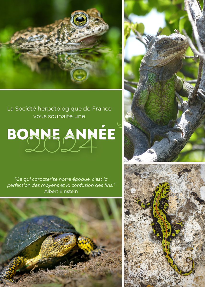 Bonne année 2024 ! Que cette nouvelle année vous apporte tout ce que vous désirez, et son lot d'observations herpétologiques 🐸🐢🐍🦎!
Votre bonne résolution en 2024 ? Adhérer à la SHF, si ce n'est pas déjà fait 😉
➡️lashf.org/j-adhere/