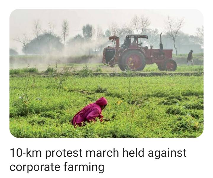 asimazhar's tweet photo. #corport farming https://t.co/UfZipZscxL