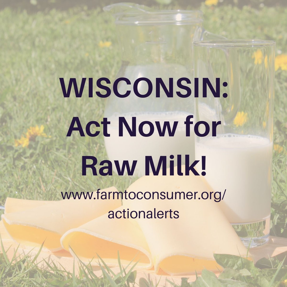 Action Alert: Wisconsin raw milk! #rawmilk #wisconsin #foodfreedom #Foodie #gymmotivation @WestonAPrice @OrganicConsumer shorturl.at/eoHW1