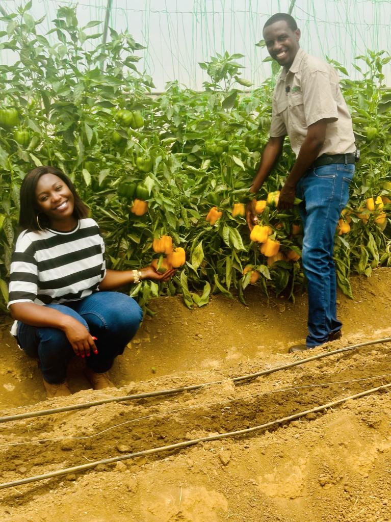 Mudumenwemari..Int'l tweet media