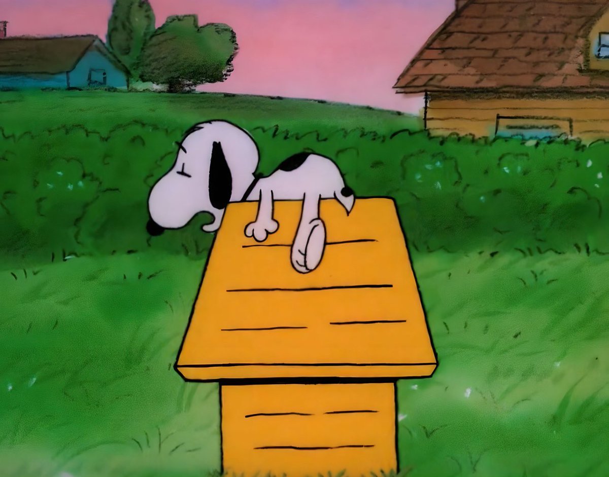 gir1genius's tweet photo. snoopy image of the day https://t.co/r4JTuiitsW