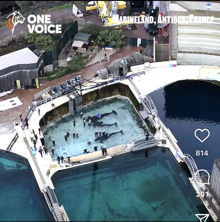 Lamya Essemlali tweet media