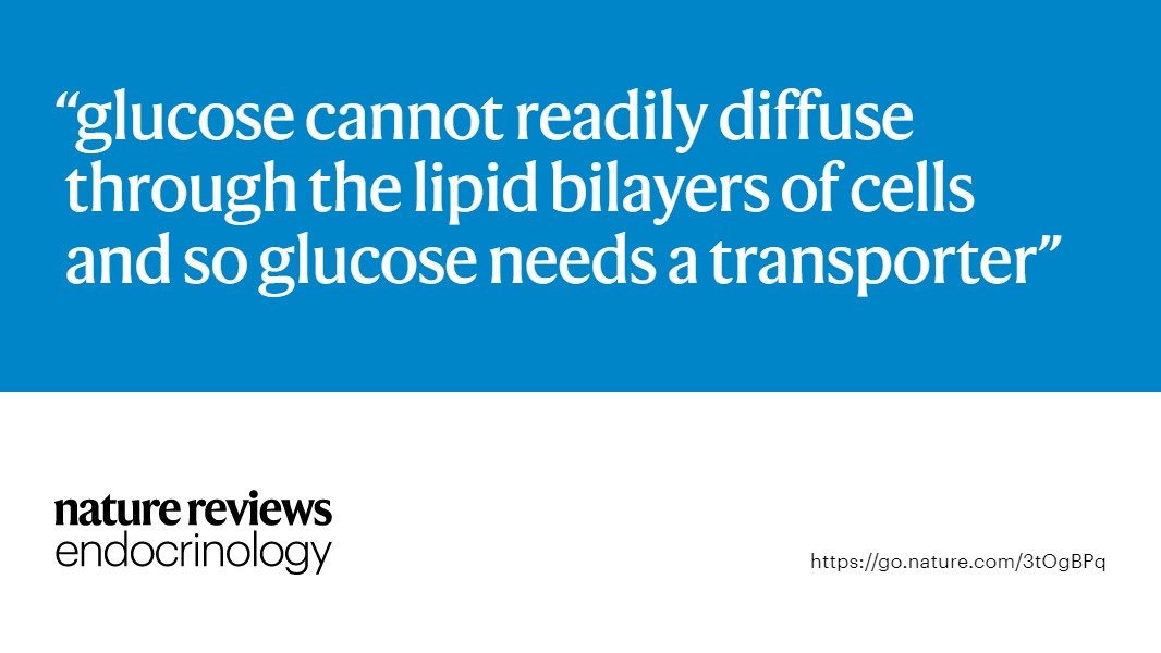 Nature Reviews Endocrinology tweet media