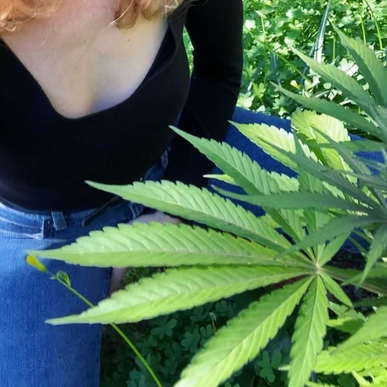 Monica____Jord's tweet photo. Happy living 😀

#CannabisCommunity #420friendly #Growers #Weedmob #Smokers #cannabisindustry #420community #cookies #weeds https://t.co/OaHvIzZsVK