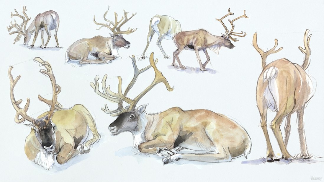 My lifetime wildlife and nature drawing club is currently on sale for £9.99 for the next 2 days. Simply use the link below:

udemy.com/course/natural…

#Sketching #learntodraw #art