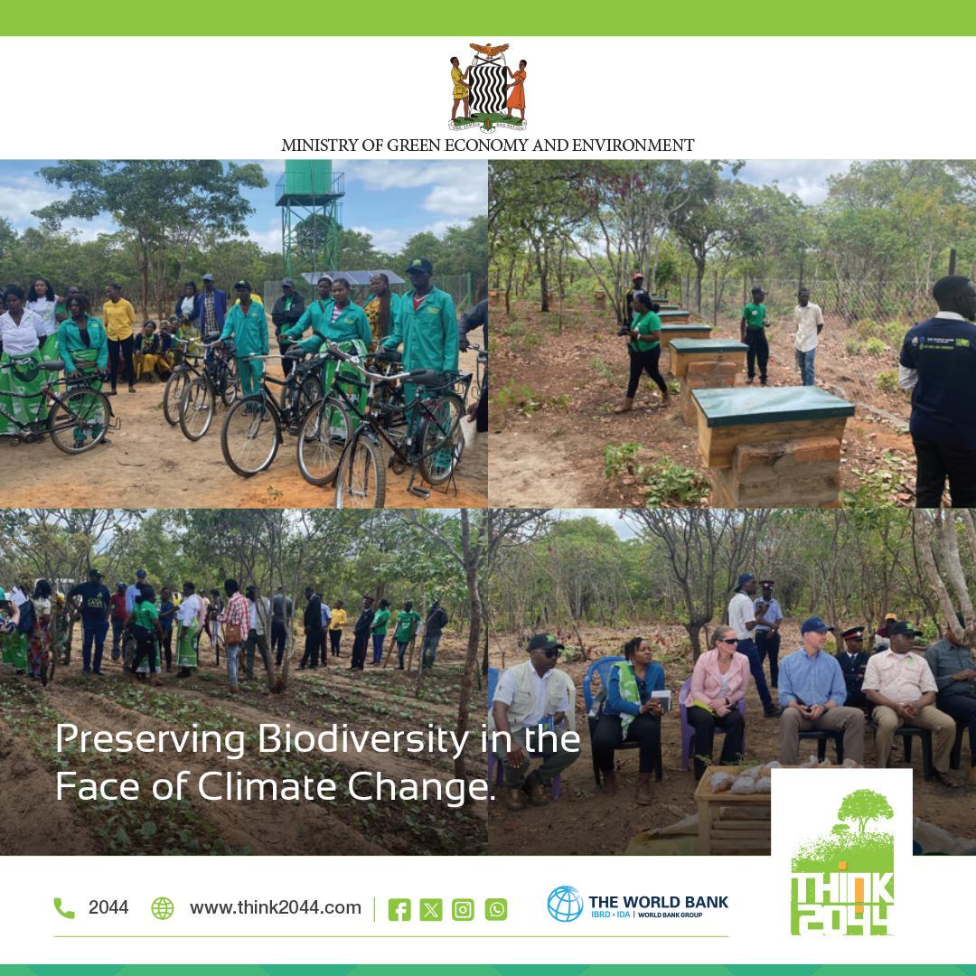 think2044's tweet photo. Finding the balance between economic survival and biodiversity preservation is no easy feat. Learn more about the challenges faced by communities in Muchinga Province that are relying on unsustainable practices and how the TRALARD project is supporting them to be better. #TRALARD https://t.co/7JKWq0DFlh