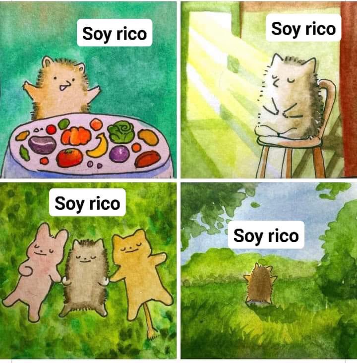 nacional_memes's tweet photo. 🐱 https://t.co/p3qWEONu5c