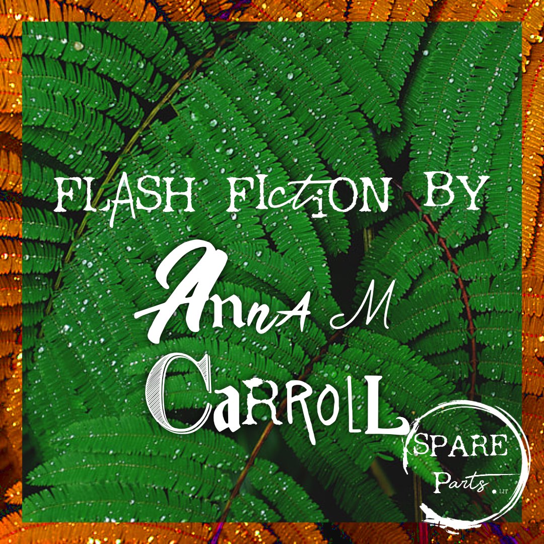 SparePartsLit's tweet photo. Flash Fiction Spotlight here to brighten your day with the compelling work of @AnnaMCarroll2 ✨
#flashfiction #AuthorSpotlight #publishedwriter #newreads https://t.co/RuKZZ6lMUQ