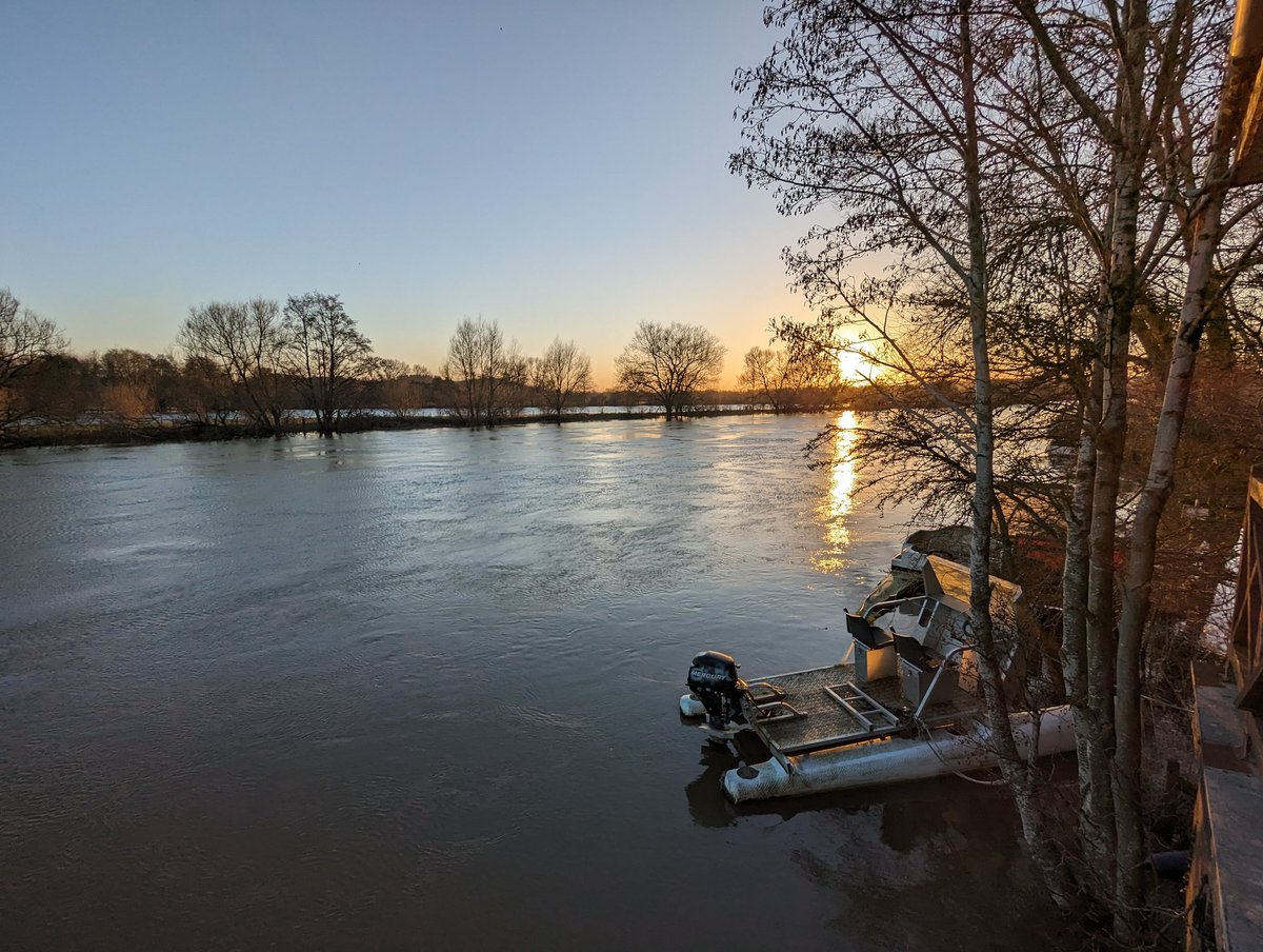 Oratory Rowing tweet media