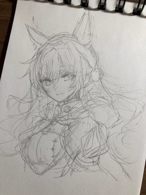 ペン入れ直前の下描きと線画 