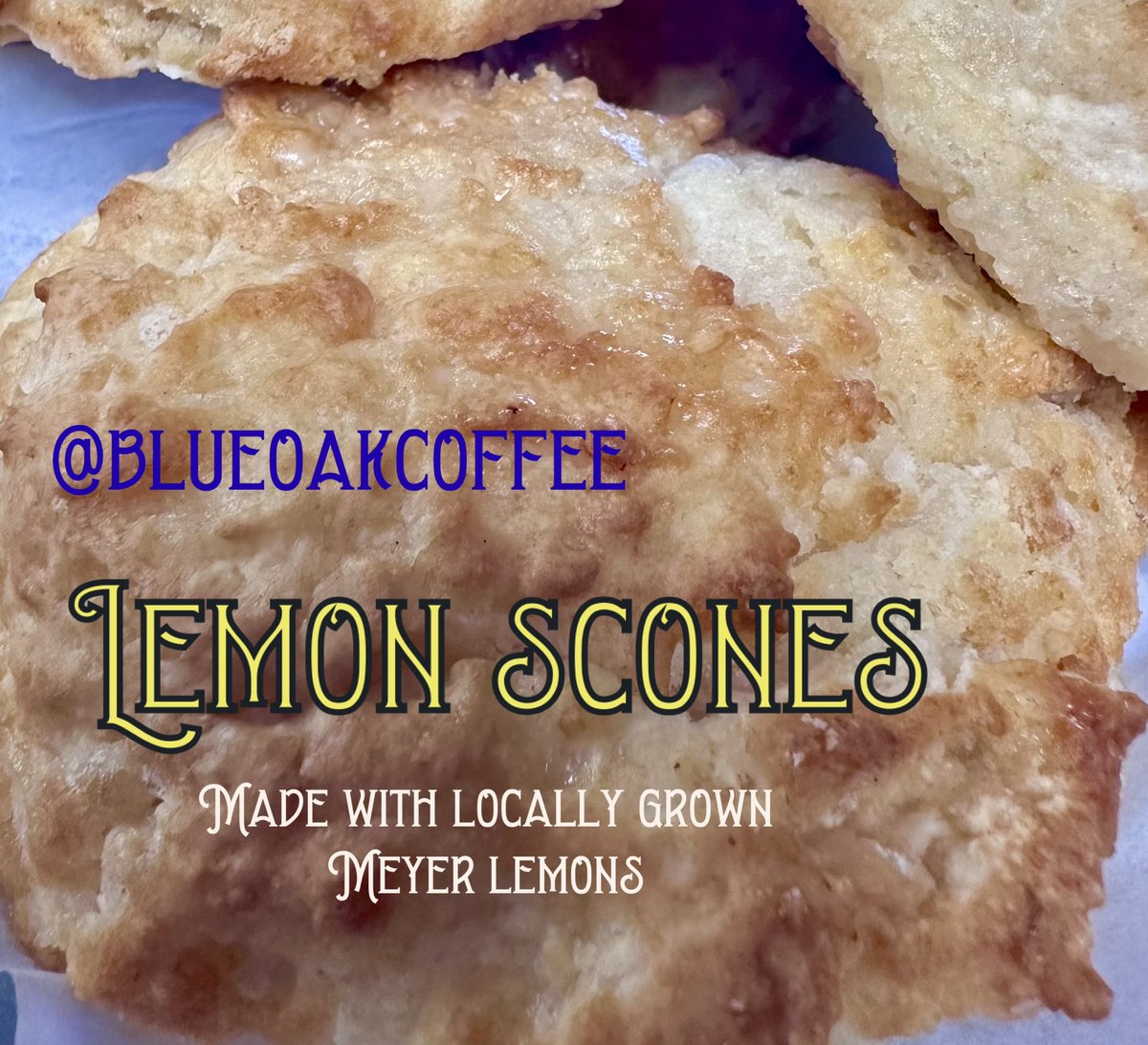 Good morning! We are here until 2pm today! Hope you all have a great day ❤️ #blueoakcoffee #downtownbakersfield #lemonscones #meyerlemon #locallygrown #madefromscratch #bakersfieldbakery #bakersfieldcoffee #scones