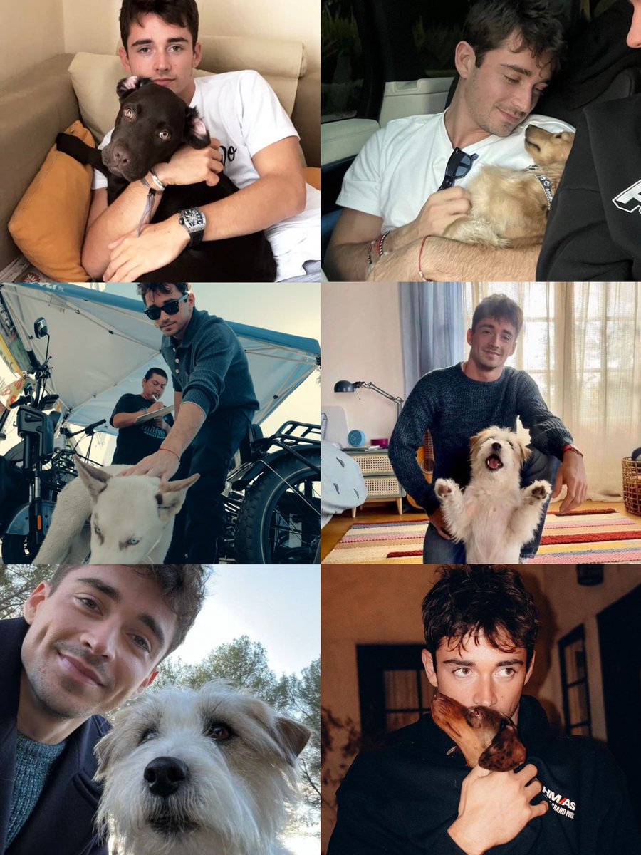 leclercphotos's tweet photo. charles and his love for dogs <3 https://t.co/Eugffi49nL
