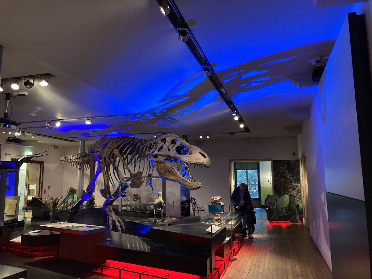 Rob Mackay tweet media