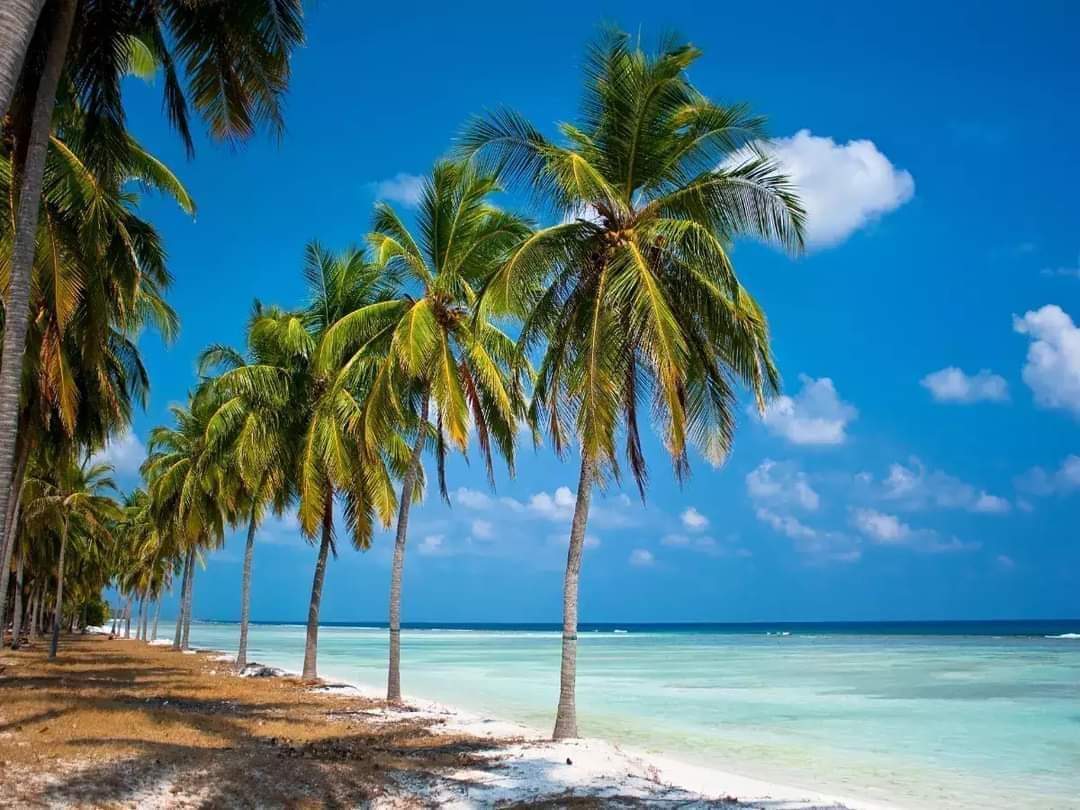 jagdishmulikbjp's tweet photo. #GoDesi: Lakshyavedhak #Lakshadweep of our #India welcomes #globaltourists like never before 🇮🇳❤️
#lakshadweeptourism #lakshadweepislands #worldtourism #safetravel #solotravel https://t.co/wtKRMBftzT