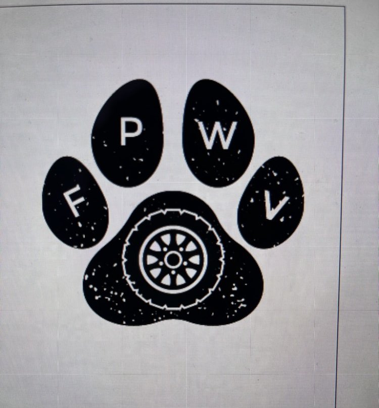 Bear has something in the works