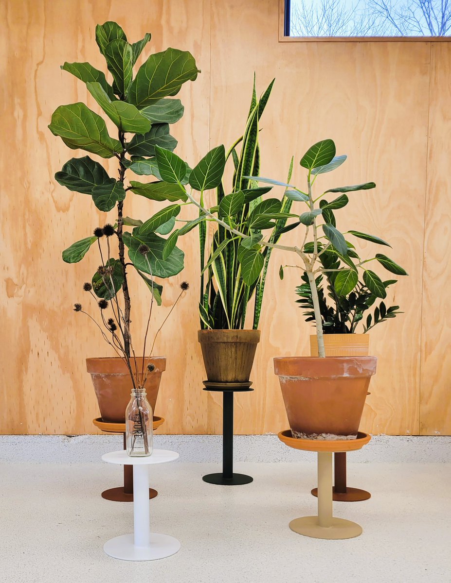 Lookout_Buffalo's tweet photo. Tatanka – A Standout in Every Setting! 🌿🏡 Wherever you place it, Tatanka steals the show. Our plant stand, display, and table combo bring an artistic touch to any setting. Let your space stand out with Lookout Buffalo's signature piece. 🌟 #LookoutBuffalo #ShowstopperDecor https://t.co/xaj3nXSoRn