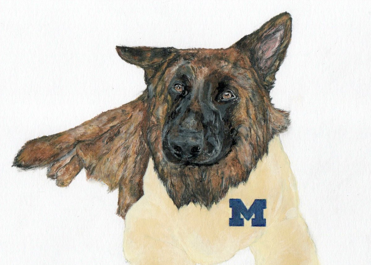JayGranat's tweet photo. Are you a University of Michigan fan.  Is your pet a Michigan fan too?
Imagine the two of you in a custom pet portrait in your favorite Michigan wardrobe.
https://t.co/Byj5mTjrnU https://t.co/fEeEbOpnr1