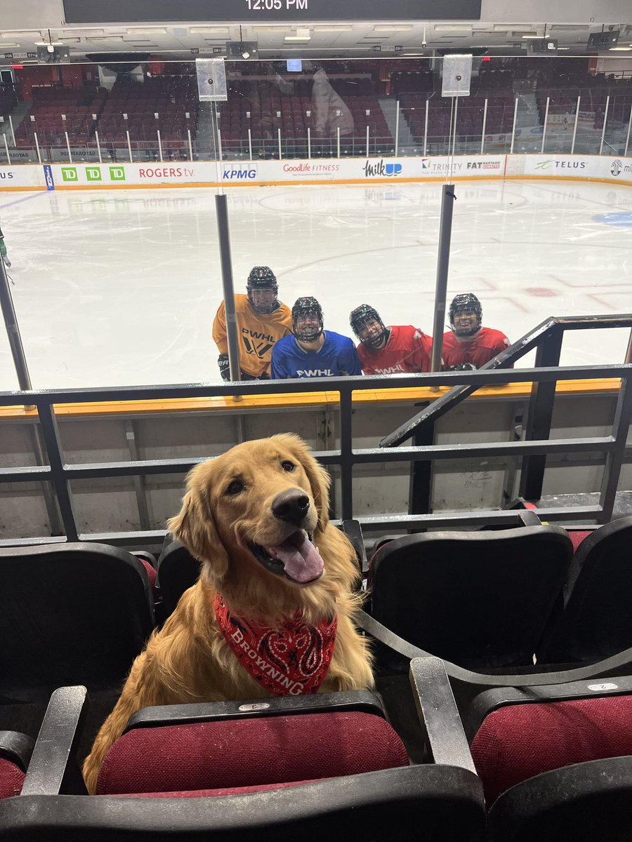 Ottawa Charge tweet media