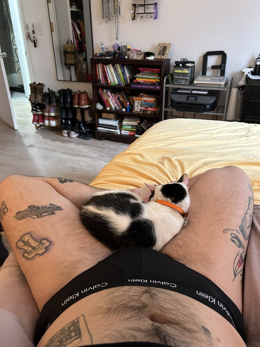 transmascfag's tweet photo. Kitty cuddles 🥰🐈 https://t.co/iZbd9Mf6IB