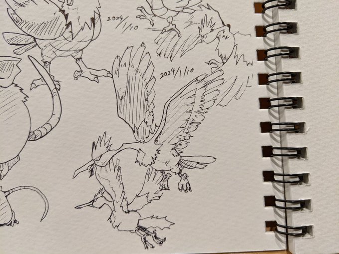 オニドリル 脳死でドリルくちばし連打してたなあ カキカキ。 