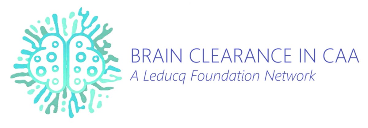 What a great way to start the New Year: we have officially launched our Leducq Foundation Network on Brain Clearance in CAA! Can't wait to see where this journey goes with @matthiasvanosch @Jeffreyiliff @AndyShih_Lab @Gaborpetzold @SMGreenbergNeur and many others...