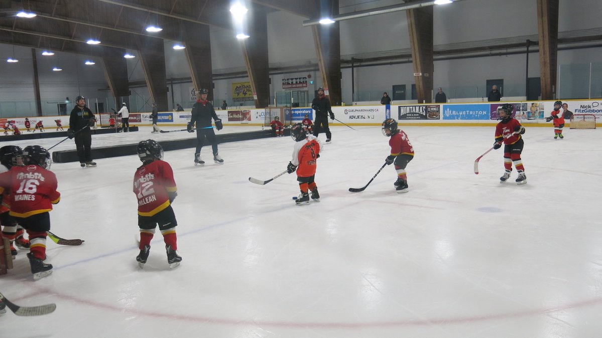 Guelph Minor Hockey tweet media