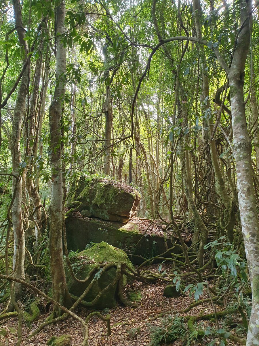 Water Technology tweet media