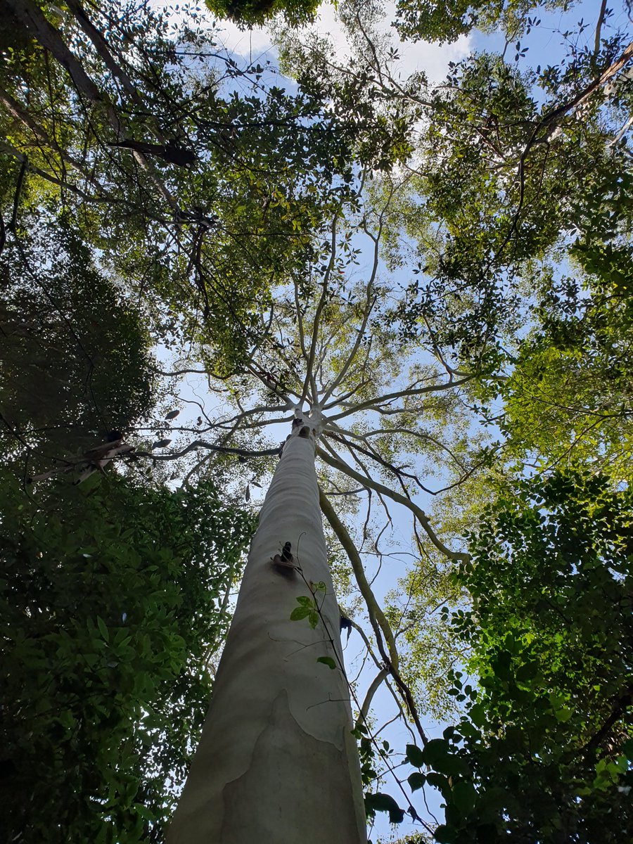 Water Technology tweet media