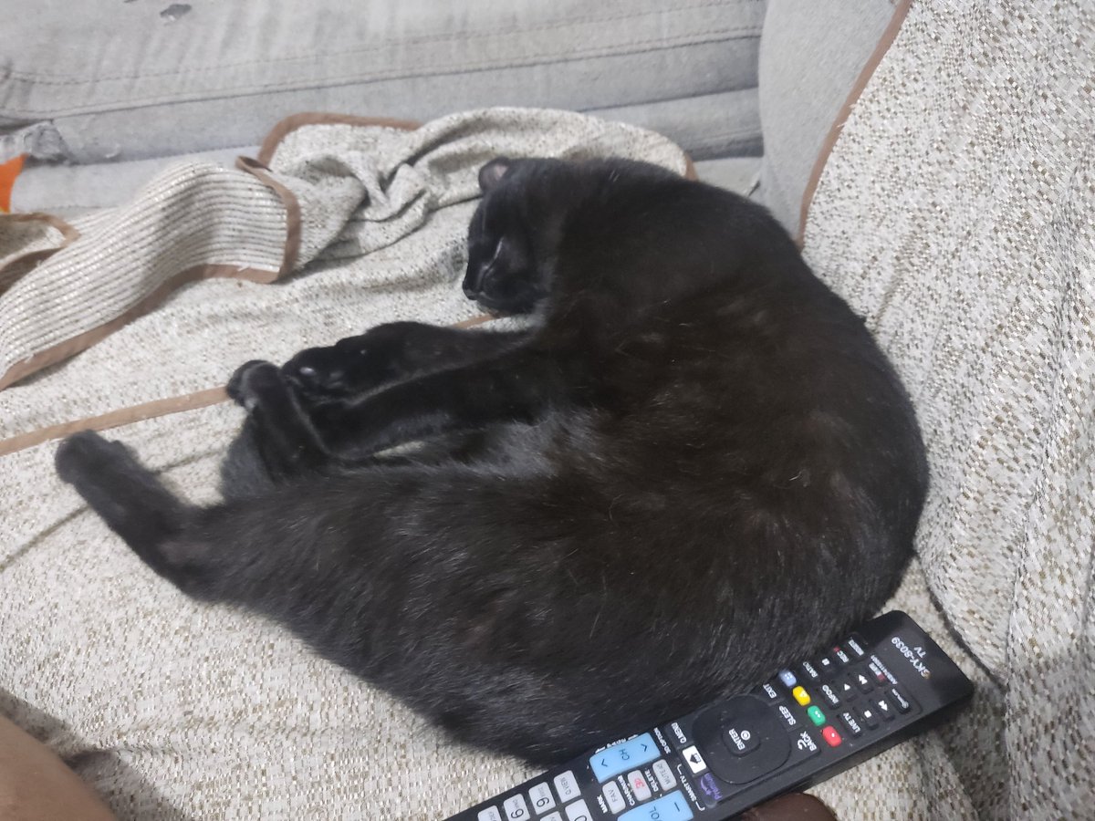 Boa noite vermelhas e vermelhos!!!
Seguimos no soninho!!!
#Shao