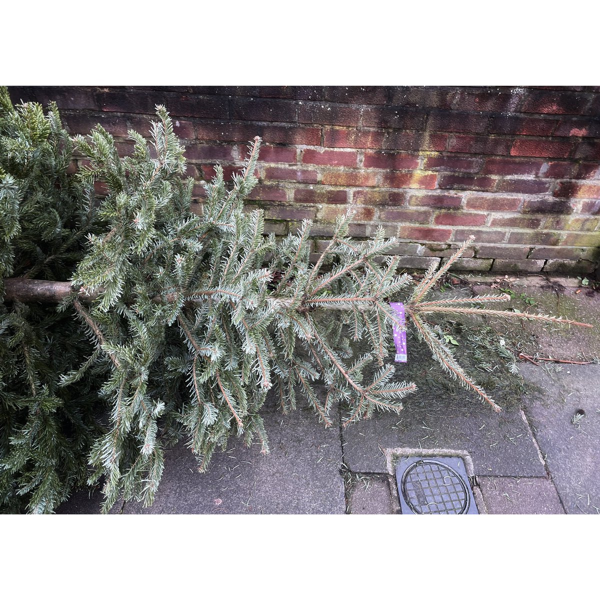 Sydney Suffolk tweet media