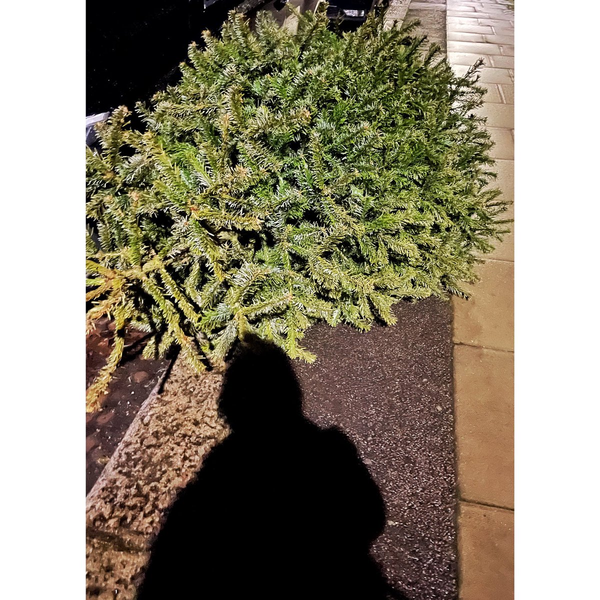 Sydney Suffolk tweet media