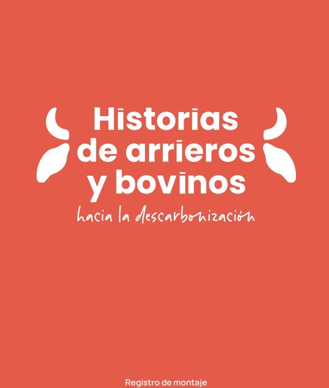 prolechecr's tweet image. Conozca todos los detalles del montaje de la exposión “Historias de arrieros y bovinos hacia la descarbonización” museodeljade.grupoins.com/Media/axwp41ib…