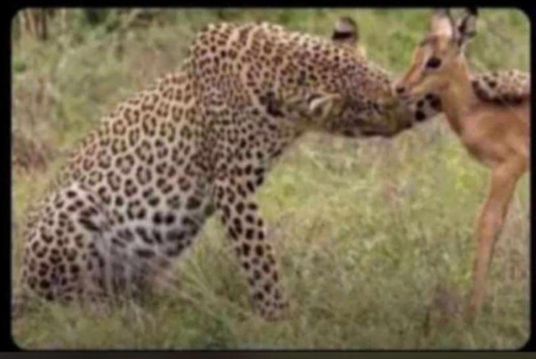 Hook Up Guy tweet media