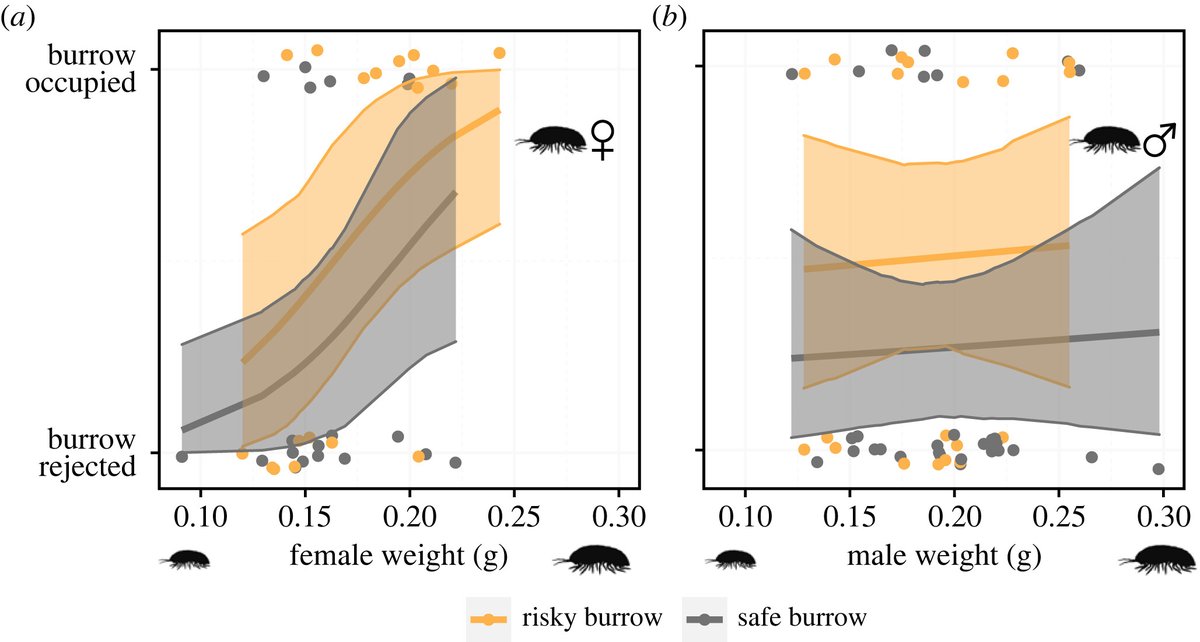 RSocPublishing's tweet photo. Read Prudent burrow-site selection in a landscape of fear to learn how desert #isopods deal with competition for nest sites: https://t.co/BK8asD9RWU | #BiologyLetters #predationrisk #evolutionarybiology https://t.co/NifRwjBznS
