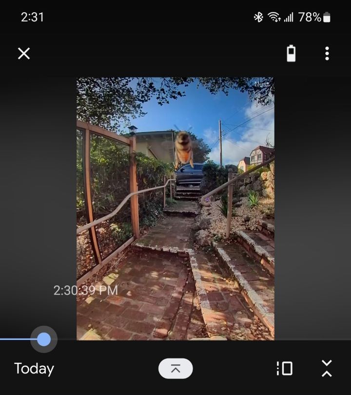 Adriana Porter Felt tweet media