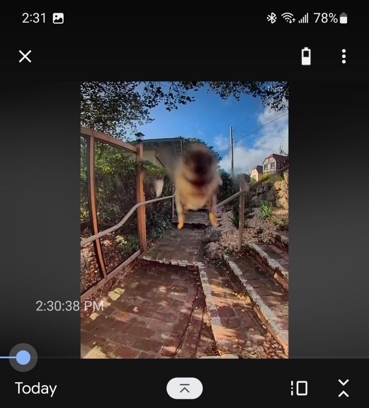 Adriana Porter Felt tweet media