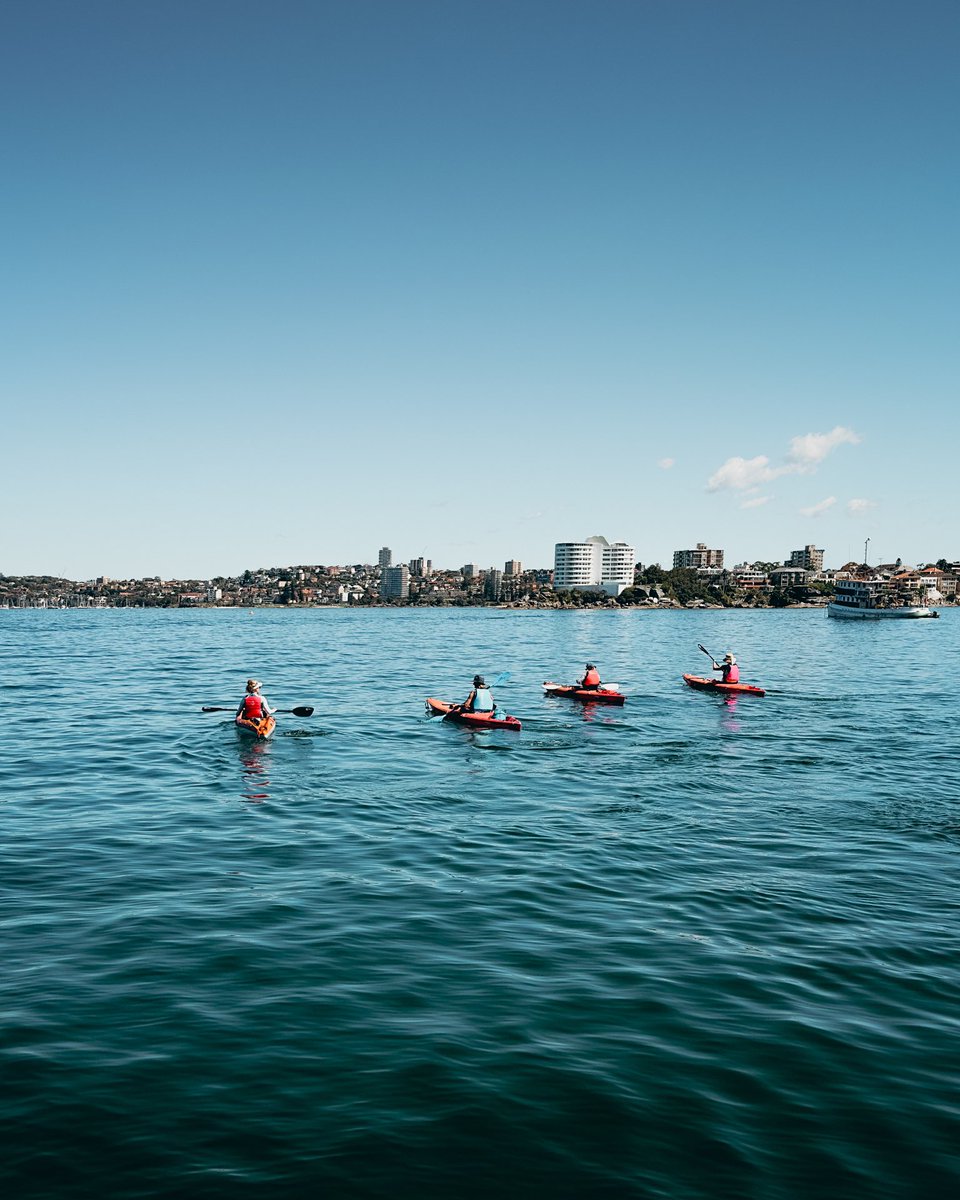 North Harbour, Sydney Australia 🛶 
.
#sydney #visitsydney #sydneycity