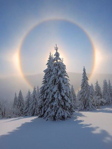 MARY_ESMAEELI's tweet photo. ☀️
Good morning dear friends 

#nature #photography https://t.co/vkcTctITKa