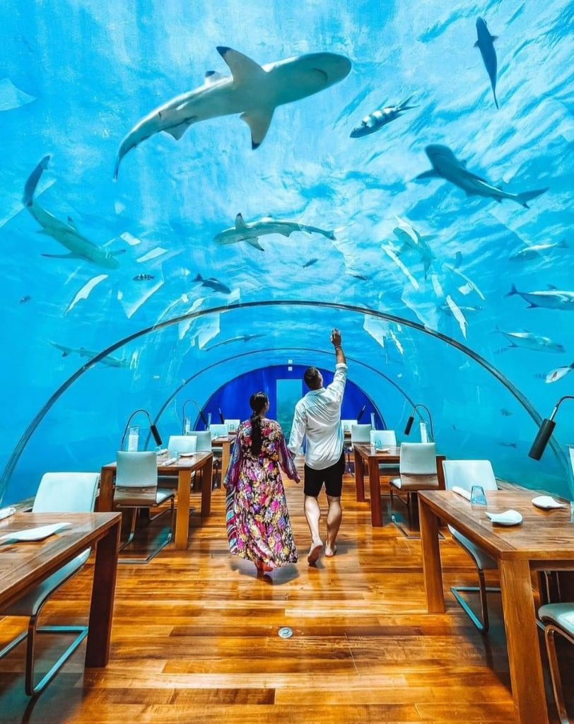 Maldives is a paradise on Earth.! 
Explore 
#maldives🇲🇻 🩵 #sunnysideoflifemaldives  #sunnysideoflife #maldivesisland #maldiveslovers #maldivestrip #maldives🌴 #maldives2024 #conradmaldives