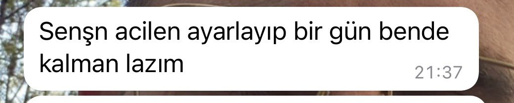 Kalamam diyemediğim için mecbur muamele yapıcam küsmezsin inş bu sefer ahahahah <a href="/bicak_b96/">Büş✨</a>