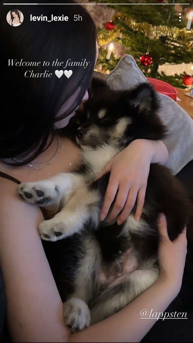 lexieglobal's tweet photo. SHE BACK OMG
010924 #LEXIE (@.levin_lexie) IG Story Update:

"Welcome to the family Charlie🤍🤍"
"Best Friend<3" https://t.co/SPNnTfe3e6