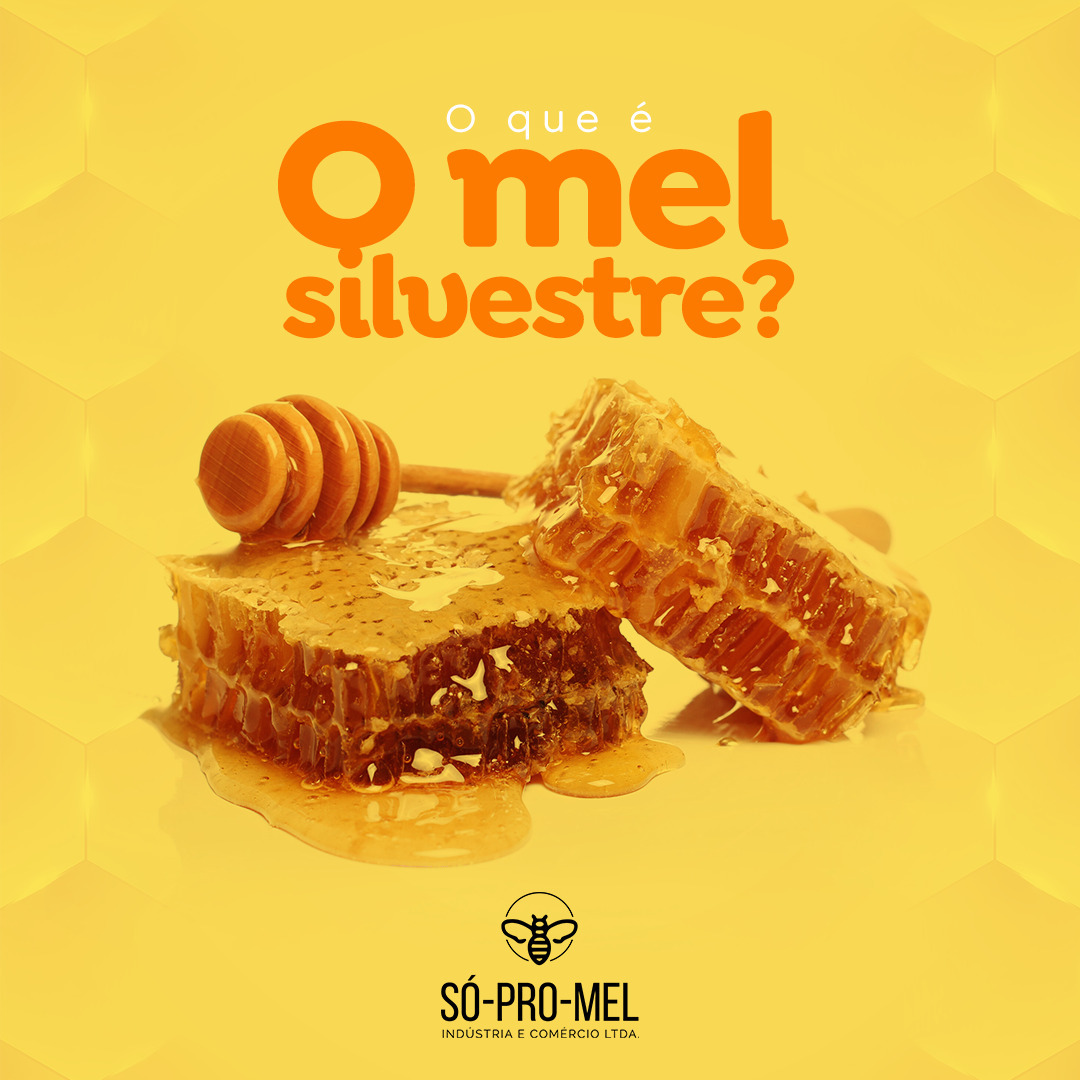sopromel's tweet photo. O mel silvestre vem do néctar coletado pelas abelhas de flores selvagens, frutos silvestres e árvores nativas. Uma verdadeira celebração da diversidade da natureza.🫶🏽🐝🍯 https://t.co/3WzKdzj8Q6