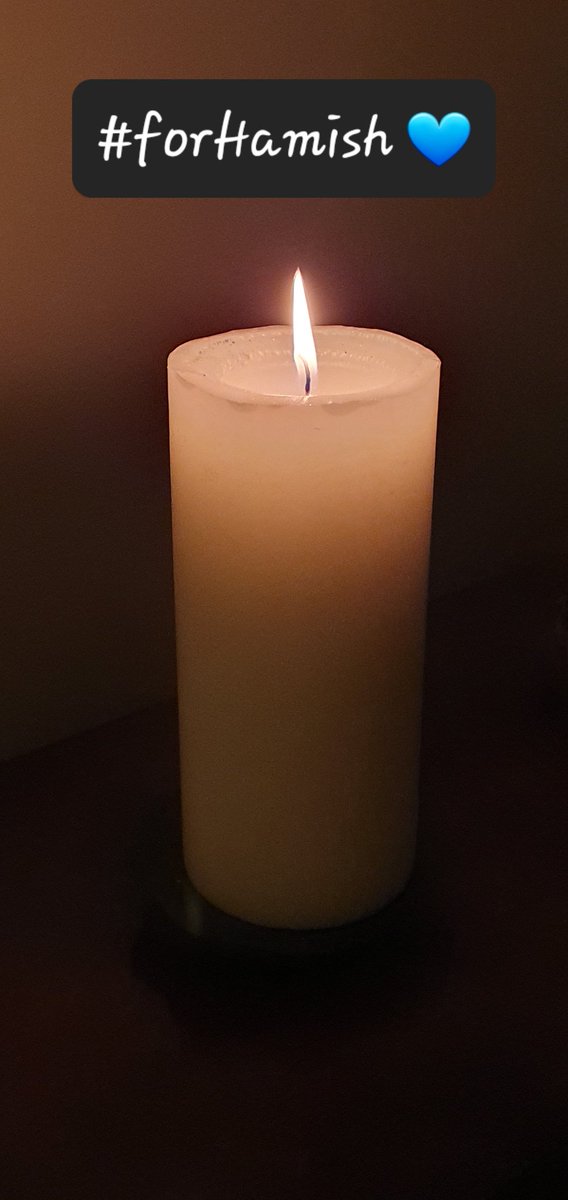 HWicket's tweet photo. #ForHamish #BTPosse @lynniehamish #BTPosseForever #FurryLegend 💙🌈 https://t.co/biieQRccj9