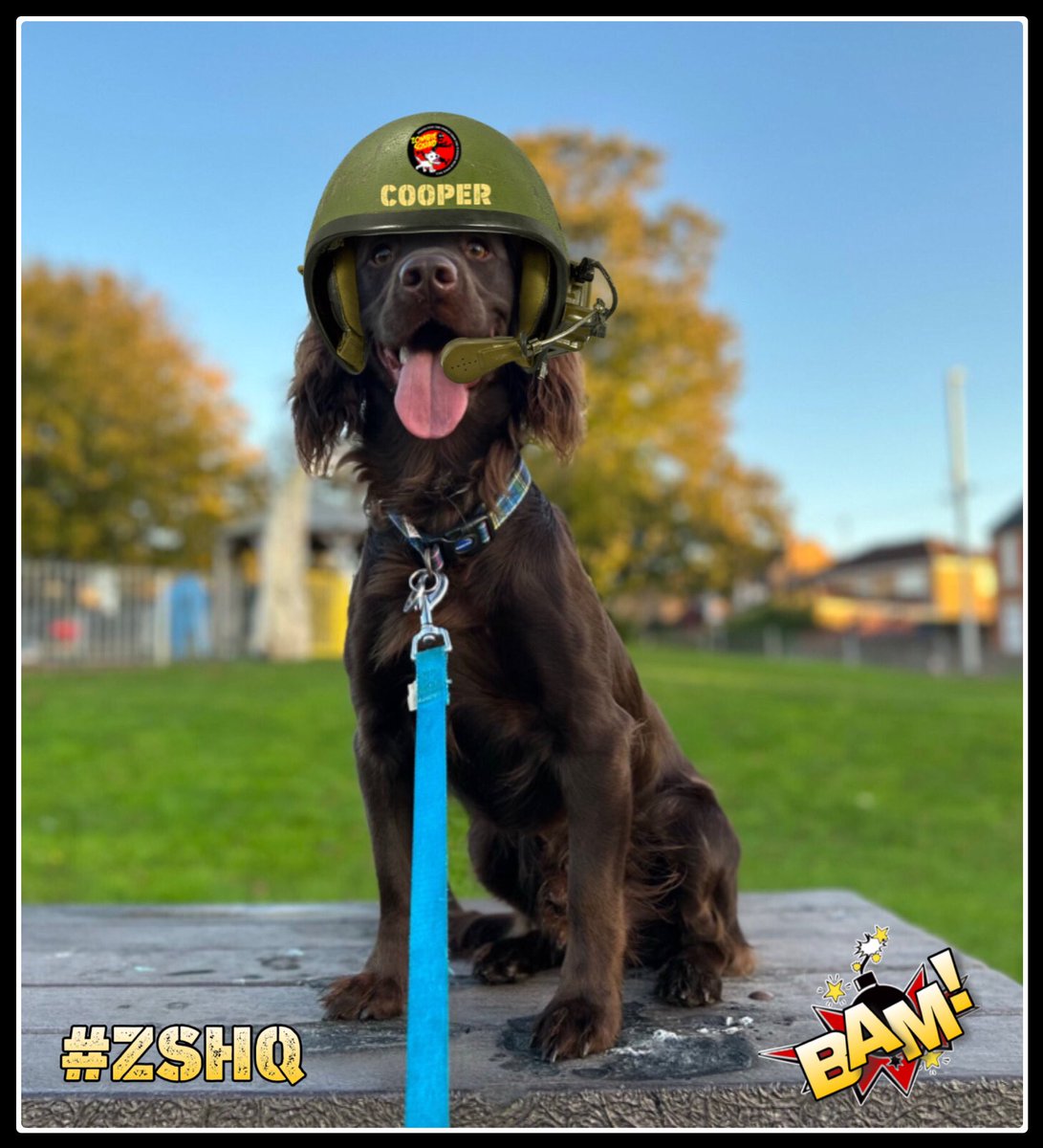 Burrow43's tweet photo. Welcome to #ZSHW Pvt Cooper @SpanielCooper1 we have prepared your patrol kit, bark when you need support from @ZombieSquadHQ *salutes* https://t.co/Tk8sRppx59