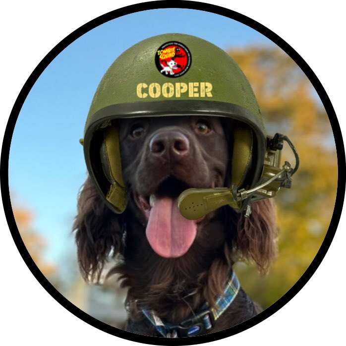 Burrow43's tweet photo. Welcome to #ZSHW Pvt Cooper @SpanielCooper1 we have prepared your patrol kit, bark when you need support from @ZombieSquadHQ *salutes* https://t.co/Tk8sRppx59